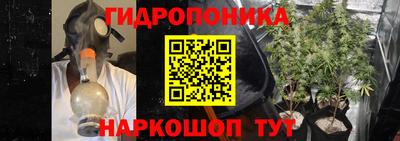 PSILOCYBIN Донской