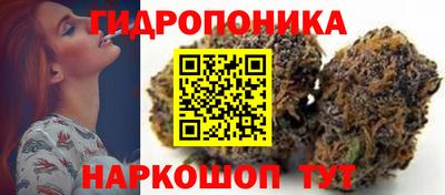 PSILOCYBIN Донской