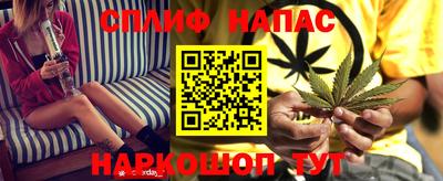 PSILOCYBIN Донской
