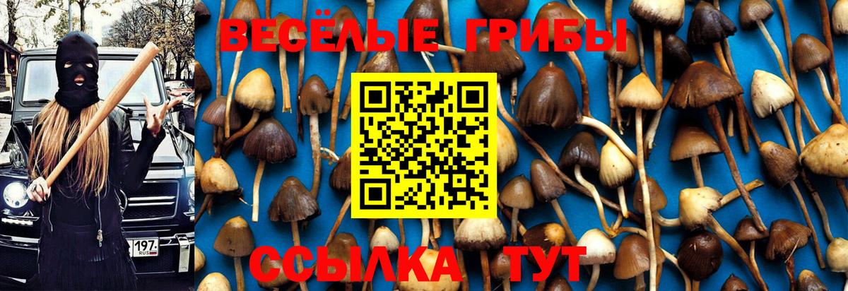 Псилоцибиновые грибы Magic Shrooms  Галлюциногенные грибы Magic Shrooms  Вход с VPN  Мичуринск 